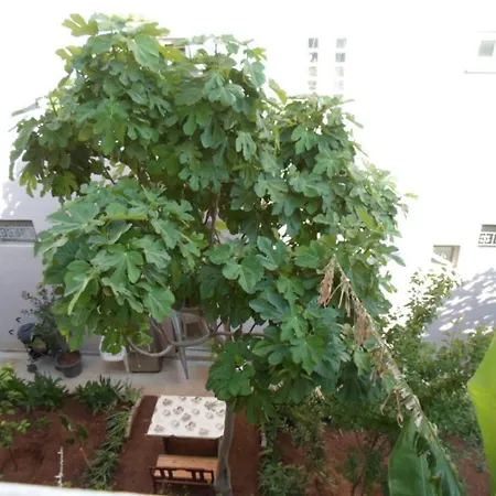 Ξενοδοχείο με διαμερίσματα Banana