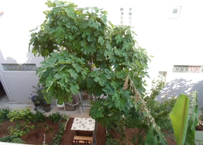 Appart hôtel Banana